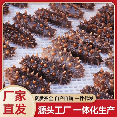 鼎鲜海参工厂批发 海参即食海参辽刺参独立包装 厂家直供支持批发图5