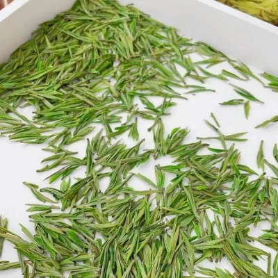 安吉白茶高山白茶明前绿茶散茶批发核心原产自产自销批发一 件代发图2