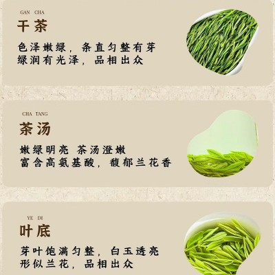安吉白茶高山白茶明前绿茶散茶批发核心原产自产自销批发一 件代发图4