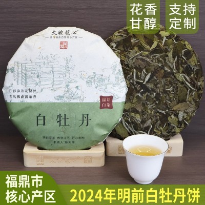 2024年福鼎白茶白牡丹饼明前春茶花香甘醇口粮好茶叶源头实力批发