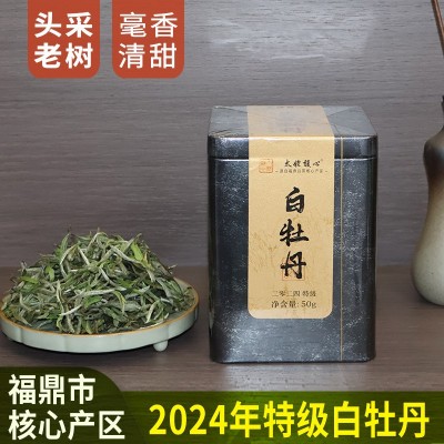 2024年福鼎白茶特级白牡丹散茶太姥山脉核心产区明前茶叶批发