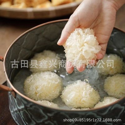 特级椴木小银耳新货雪耳糯耳羹出胶雪耳古田干货白木耳无硫非丑耳图3