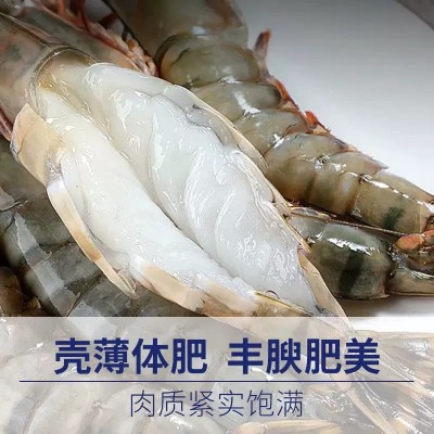 黑虎虾大号老虎虾对虾基围虾海虾无冰竹斑九节虾商用批发鲜冻锁鲜图3