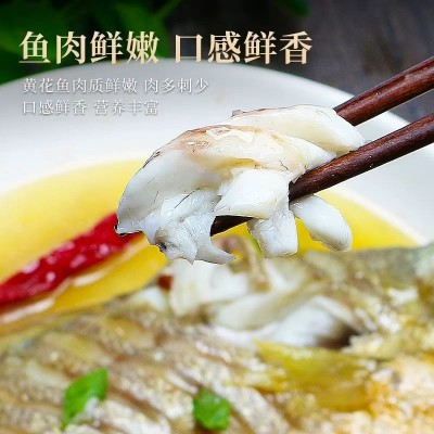 小黄花鱼新鲜冷冻 饭店餐饮烧烤小黄鱼 海鲜水产整箱商用批发代发图3