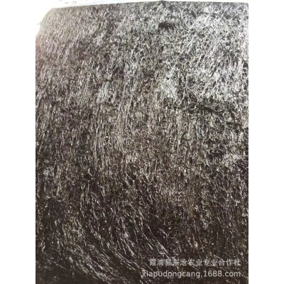 福建霞浦本地头水紫菜无沙农户自产自销海藻营养袋装鲜美早餐图2