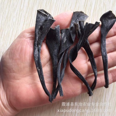 霞浦干海带头500克价厚实批发价厂家自产自销干品健康霞浦特产图3