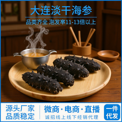 大连淡干海参厂家供应干货辽刺参50g干参礼盒非即食海参干货刺参图2