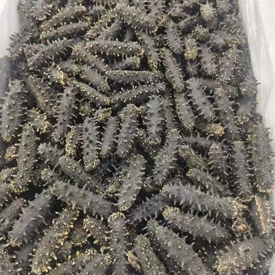 大连淡干海参厂家供应干货辽刺参50g干参礼盒非即食海参干货刺参图4