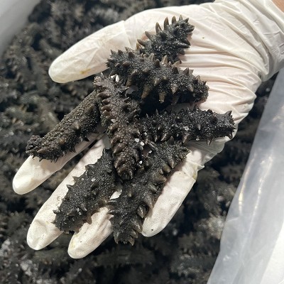 大连海参厂家供应干货泡发辽刺参非即食辽参500g可礼盒装半干海参图3