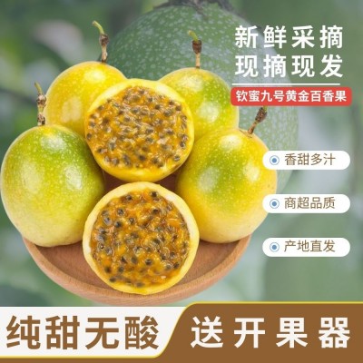 黄金百香果钦密9号广东果园新鲜蜜香果甜加开果器批发价包邮