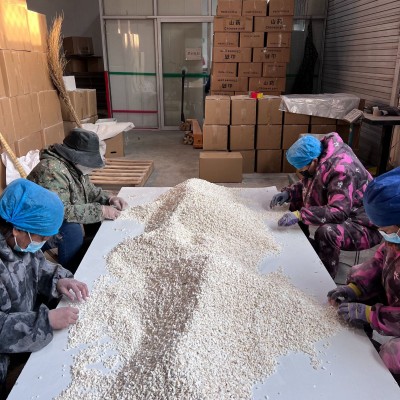 铁棍怀山药现货批发产地货源山药片量大从优铁棍淮山药产地直供图4