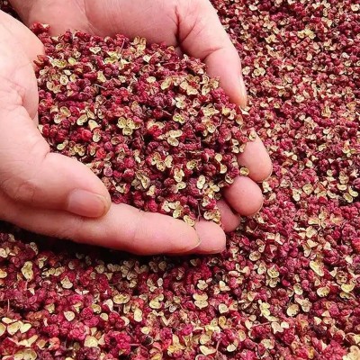 红花椒 茂汶花椒500克四川花椒提麻增香大红袍梅花椒无籽汉源花椒图3