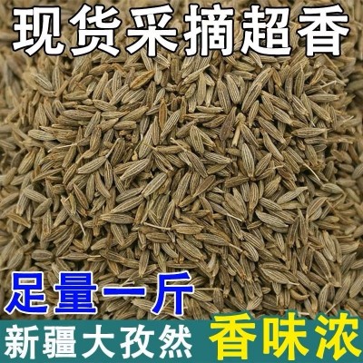 批发新疆正宗特产孜然粒500g烧烤撒料香料调味磨粉小茴香烤肉调味图2