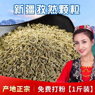 批发新疆正宗特产孜然粒500g烧烤撒料香料调味磨粉小茴香烤肉调味