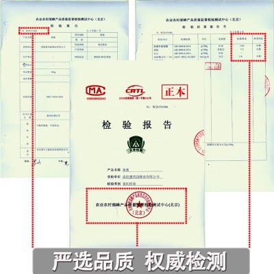 健凤园蜂巢蜜盒装农家蜂场自产荆条蜂巢块蜂蜜嚼着吃一件代发原蜜图3
