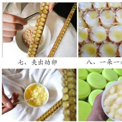 royal jelly鲜蜂王浆1斤油菜蜂皇桨500g冰袋冷冻代发原浆老人康养图3