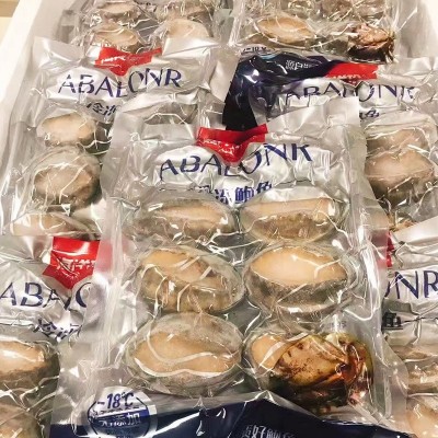 冰鲜鲍鱼冷冻鲍鱼 鲍鱼捞饭原料 即食鲍鱼8头酒店商用图3