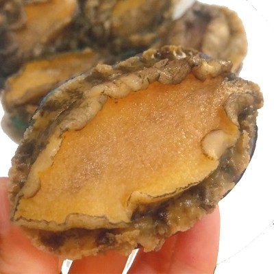 冰鲜鲍鱼冷冻鲍鱼 鲍鱼捞饭原料 即食鲍鱼8头酒店商用图5