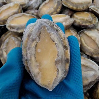 冰鲜鲍鱼冷冻鲍鱼 鲍鱼捞饭原料 即食鲍鱼8头酒店商用图2