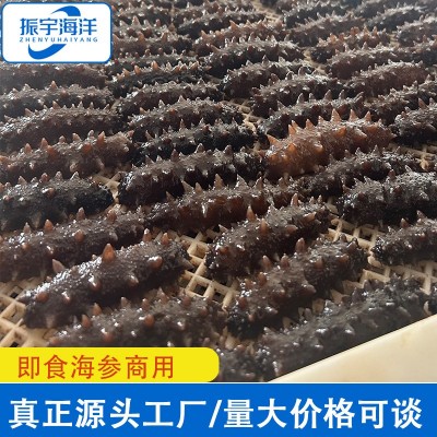 厂家批发山东海参鲜食海参 海参即食海参酒店食材商用 厂家批发山东海参鲜食海参 海参即食海参酒店食材商用