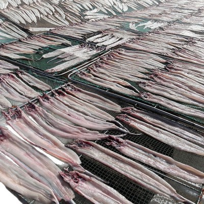 舟山鳗鱼干淡晒鳗鱼鲞单拖青鳗狗鳗海鲜干货特产食材一级水产干货图5