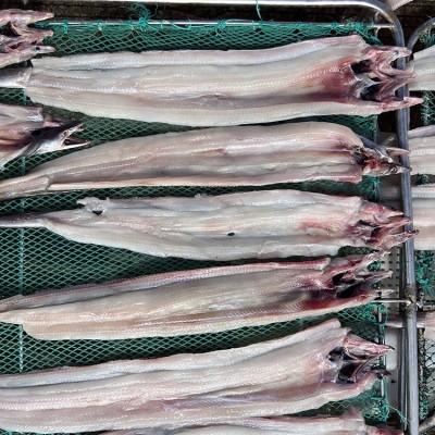 舟山鳗鱼干淡晒鳗鱼鲞单拖青鳗狗鳗海鲜干货特产食材一级水产干货图4