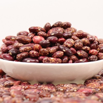 云南富宁特产花豆高原产物饱满鲜亮腰豆紫芸豆豆种子杂粮散装批发