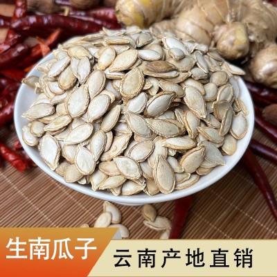 未加工生毛边南瓜籽云南高原特产粒粒饱满产地直供可种植批发散装图4