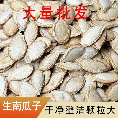 未加工生毛边南瓜籽云南高原特产粒粒饱满产地直供可种植批发散装 未加工生毛边南瓜籽云南高原特产粒粒饱满产地直供可种植批发散装