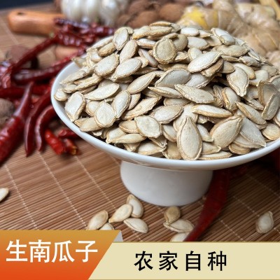 未加工生毛边南瓜籽云南高原特产粒粒饱满产地直供可种植批发散装图2