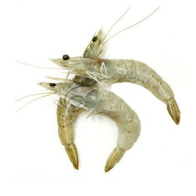 冷冻对虾国产南美白对虾1.5kg/盒 鲜活基尾新鲜大虾海虾淡水速冻图5