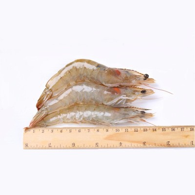 冷冻对虾国产南美白对虾1.5kg/盒 鲜活基尾新鲜大虾海虾淡水速冻图4