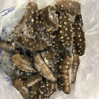 厂家批发辽宁大连深海海参 海鲜水产大连鲜食辽刺参散装即食海参图3