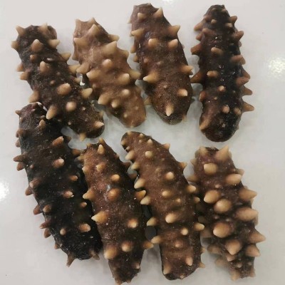 厂家批发辽宁大连深海海参 海鲜水产大连鲜食辽刺参散装即食海参图2