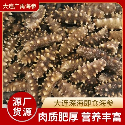 厂家批发辽宁大连深海海参 海鲜水产大连鲜食辽刺参散装即食海参