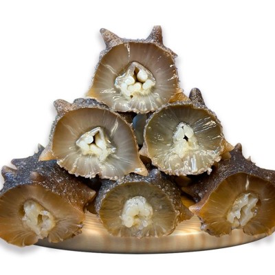 厂家批发辽宁大连深海海参 海鲜水产大连鲜食辽刺参散装即食海参图5