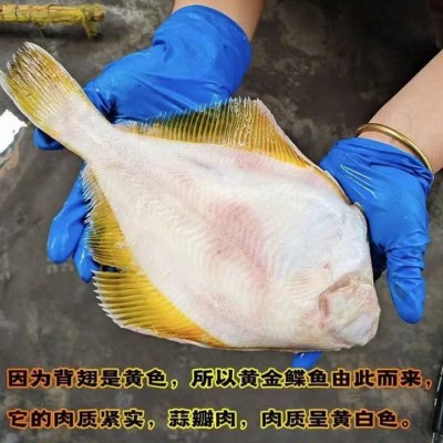 俄罗斯黄金鲽鱼.单冻整条新鲜鲽鱼.深海鲽鱼含冰保鲜整车厂家直发图3
