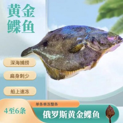 俄罗斯黄金鲽鱼.单冻整条新鲜鲽鱼.深海鲽鱼含冰保鲜整车厂家直发图5