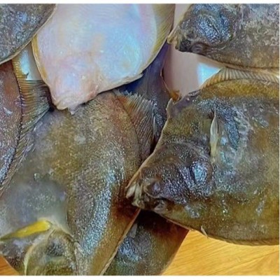 俄罗斯黄金鲽鱼.单冻整条新鲜鲽鱼.深海鲽鱼含冰保鲜整车厂家直发图4