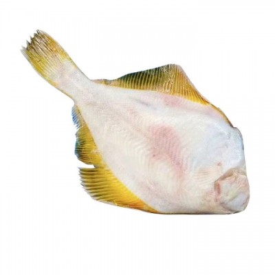 俄罗斯黄金鲽鱼.单冻整条新鲜鲽鱼.深海鲽鱼含冰保鲜整车厂家直发