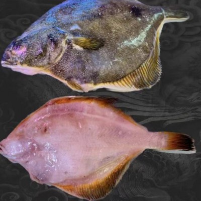 俄罗斯黄金鲽鱼.单冻整条新鲜鲽鱼.深海鲽鱼含冰保鲜整车厂家直发图2