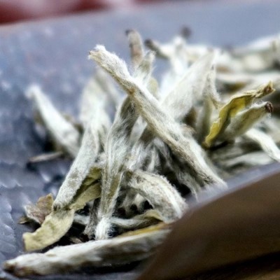 广福心道茶叶白茶2018年头春头采白毫银针翠竹小茶饼200g图3