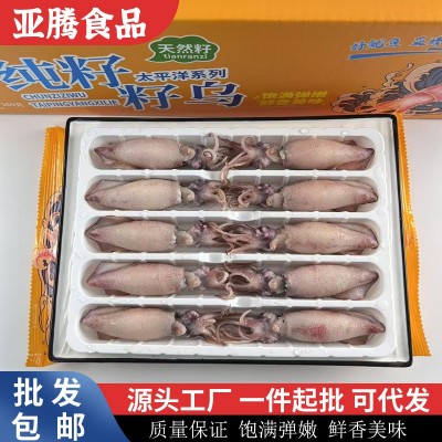 纯籽籽乌冷冻籽乌带籽产地直发海兔笔管鱼海鲜带膏乌贼海鲜水产图5