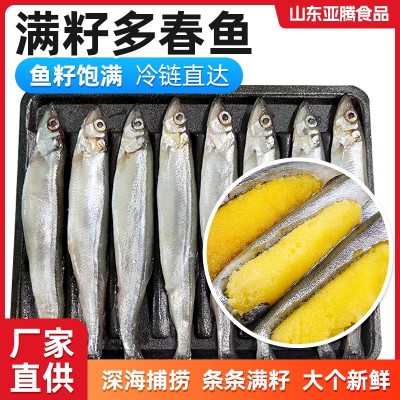 冷冻托盘多春鱼烧烤日料煎炸食材带籽多春鱼整箱满籽母体多春鱼图5