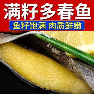 冷冻托盘多春鱼烧烤日料煎炸食材带籽多春鱼整箱满籽母体多春鱼图2