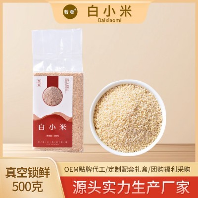 新米白小米孕妇月子儿童营养早餐小米粥饭五谷杂粮粥米饭厂家批发图5