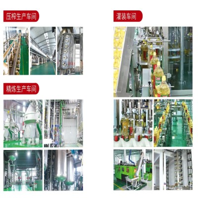 包邮5升一级玉米油压榨非转基因油商用家用5L整箱桶装食用 油批发图2