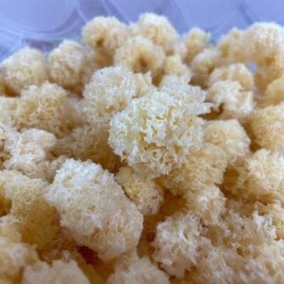 厂家直供古田仿椴木珍珠小银耳散装批发银耳干货白木耳雪耳丑糯耳图5