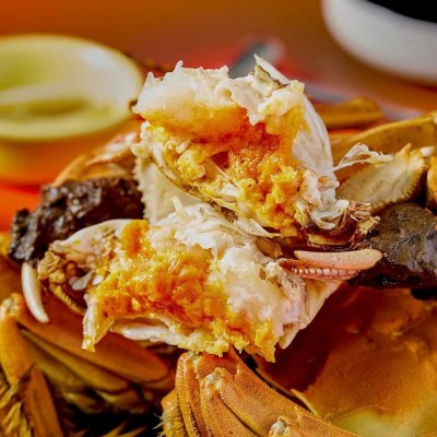 阳澄锦绍大闸蟹苏州知名品牌苏州金标蟹活蟹团购批发螃蟹大闸蟹图2