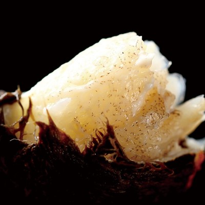 鲜活大闸蟹螃蟹苏州直发鲜活水产大闸蟹诚邀代理团购合作图4